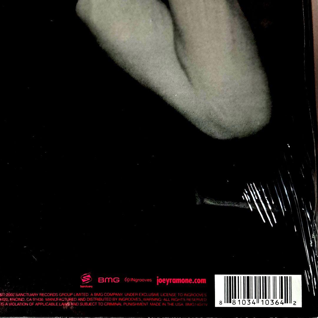 Joey Ramone　Don't Worry About Me　レコード　LP