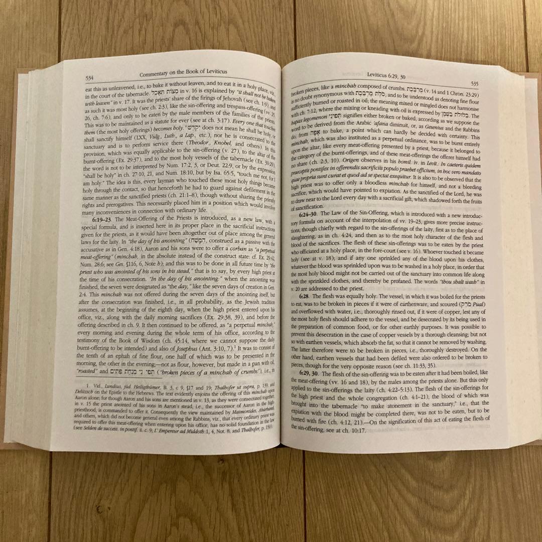 Keil & Delitzsch 旧約聖書注解 （英語）全10巻