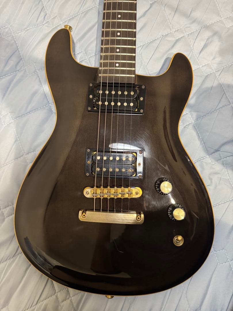 フェルナンデス　APG-100