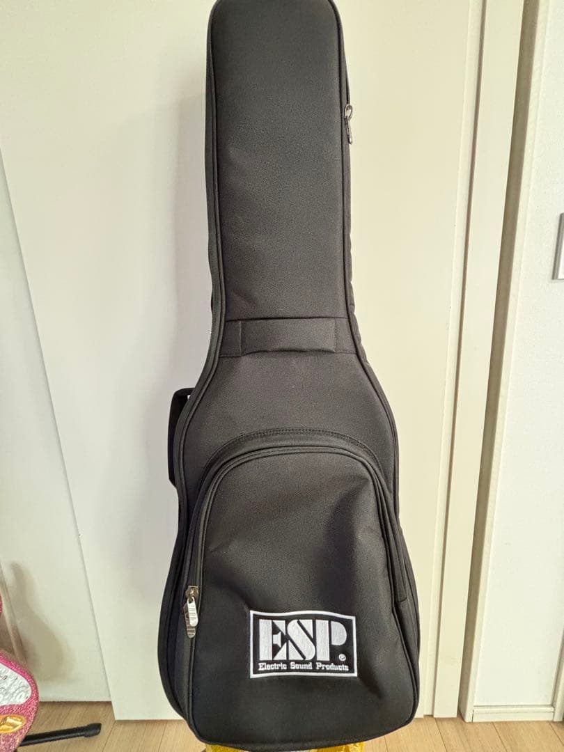 ESP SNAPPER 大村孝佳　Signature Model
