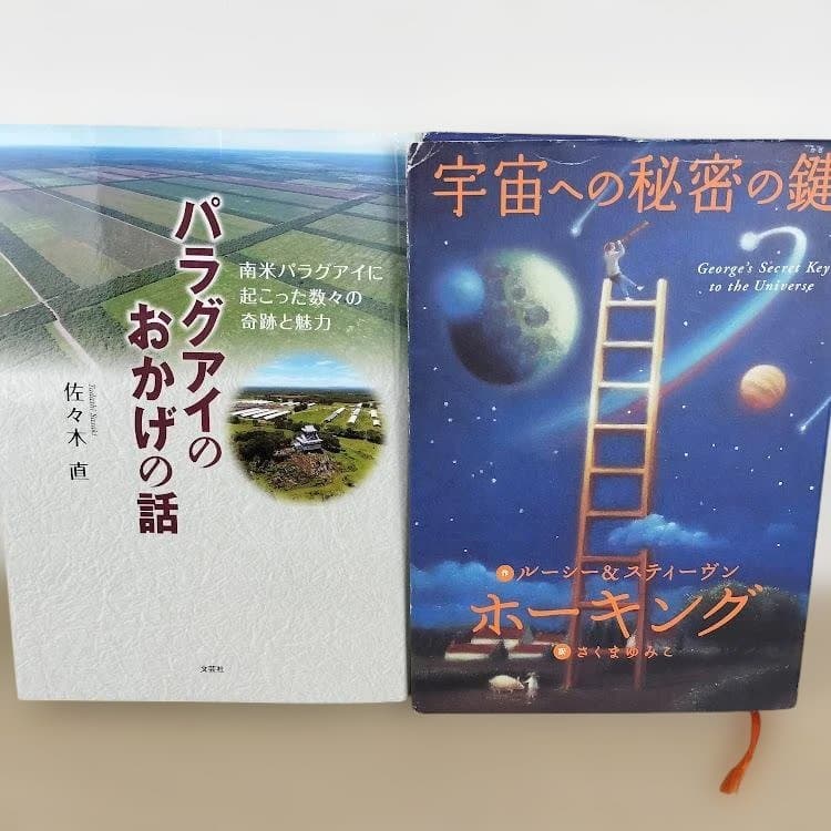 児童書☆高学年～☆３０冊セット☆くもん推薦図書☆課題図書☆まとめ売りC320
