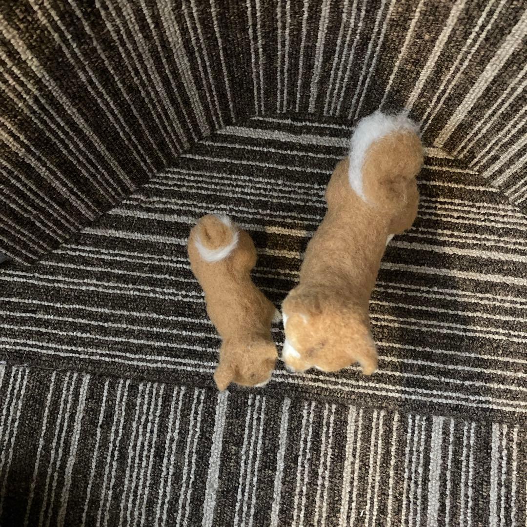 ムラサキキティー