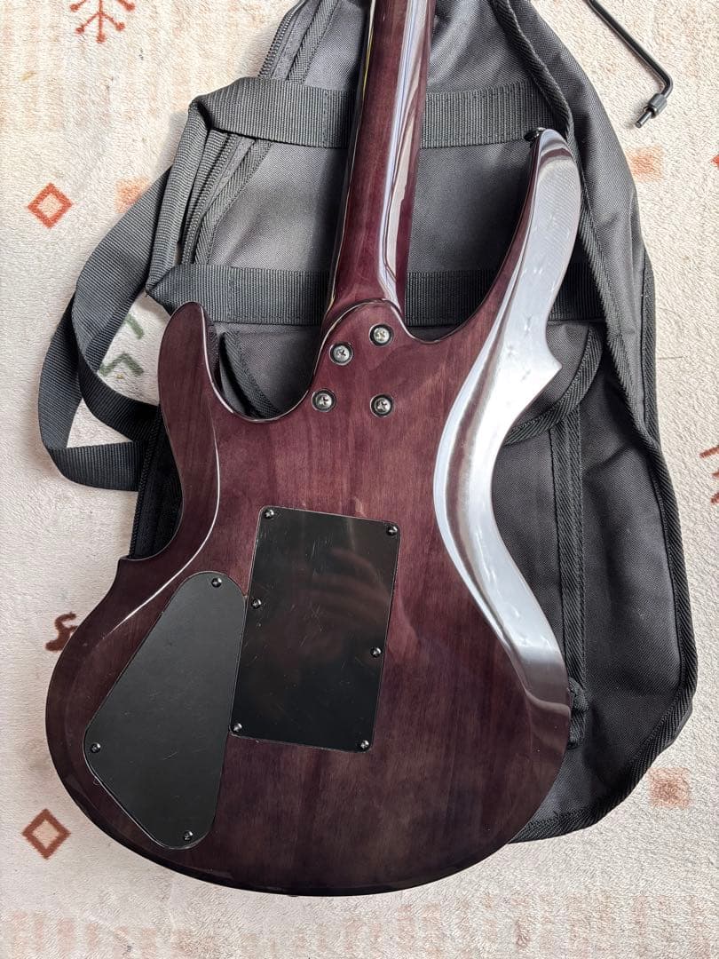 美品！　Grassroots G-TN-58G