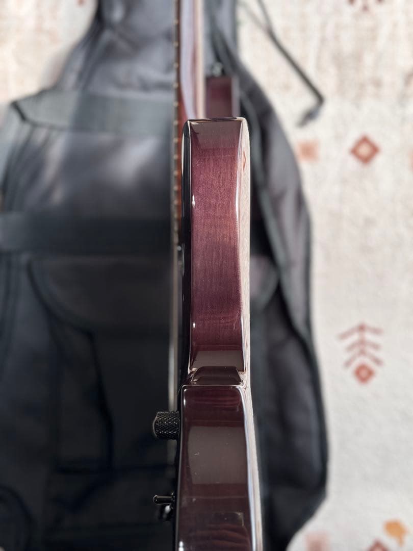美品！　Grassroots G-TN-58G