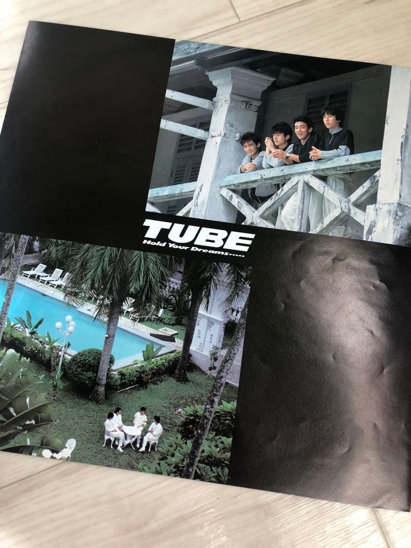 TUBE 亜蘭知子　NewJeans ハニ　レコード　LP obi 帯