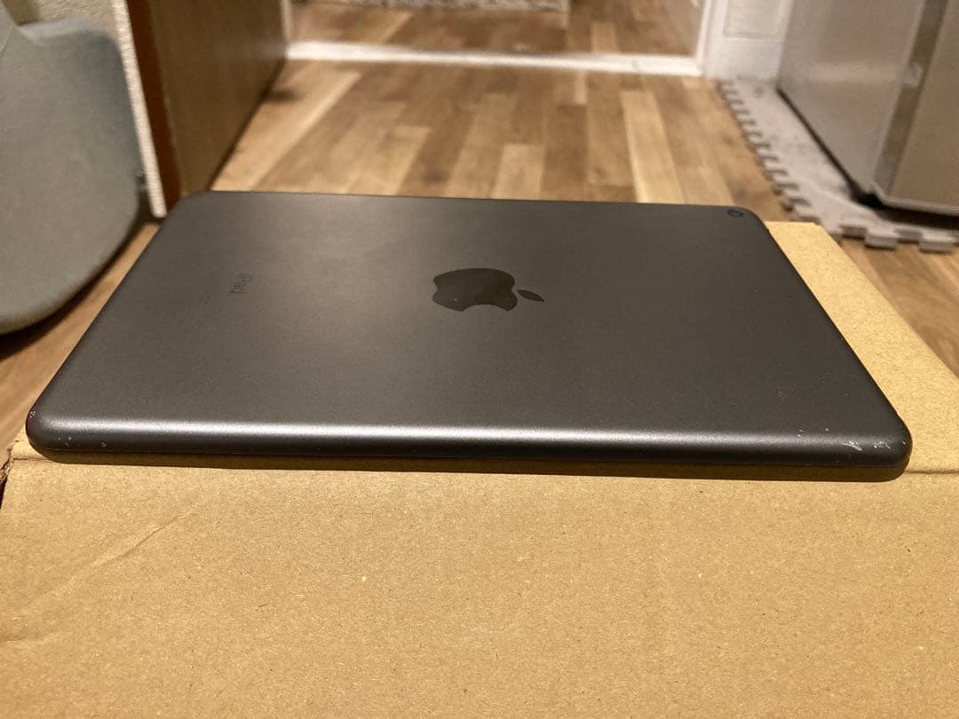 iPad mini 第5世代 64GB Wi-Fi 画面不良（縦線あり）動作OK