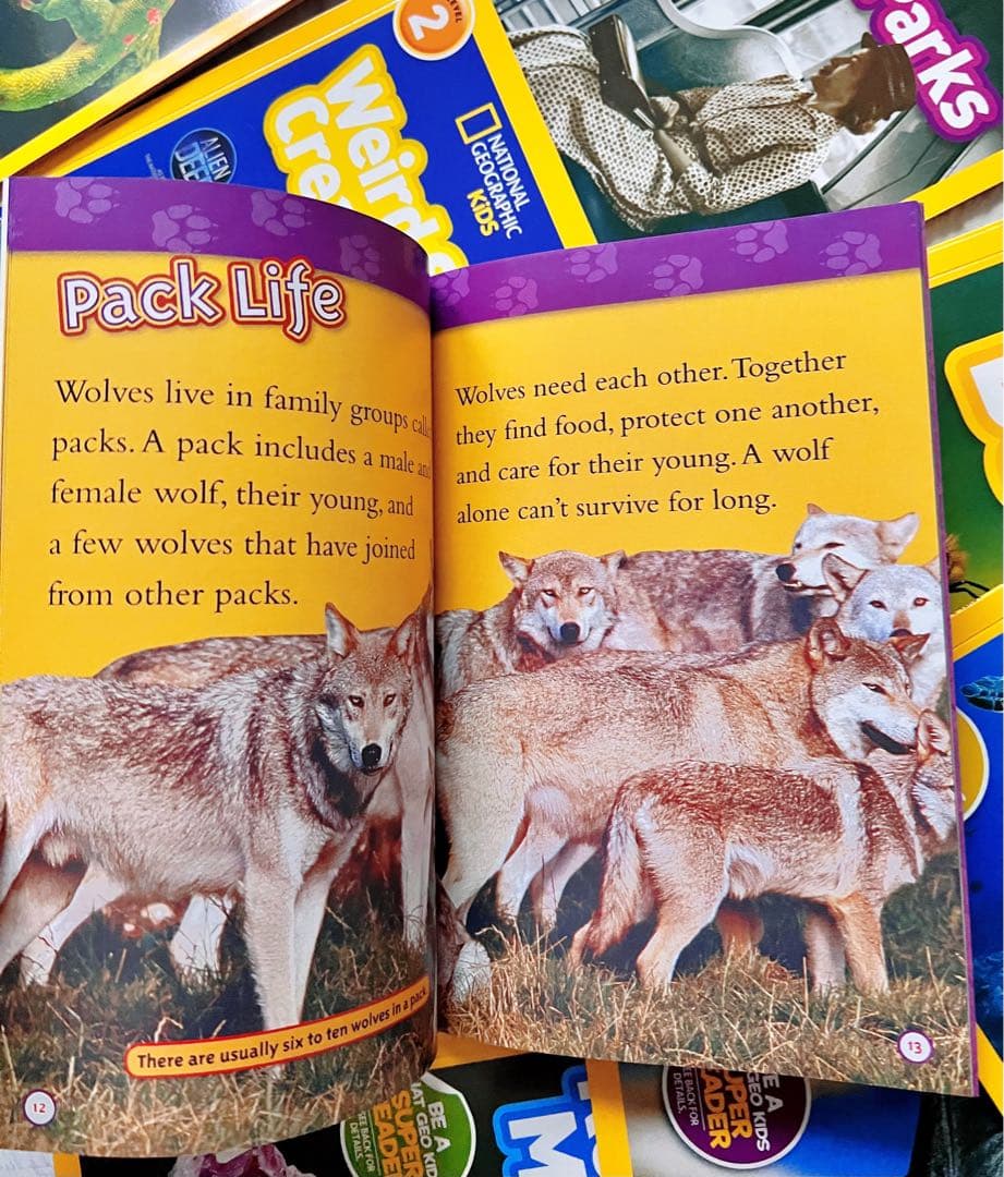 National Geographic Kids レベル2のセット41冊洋書多読
