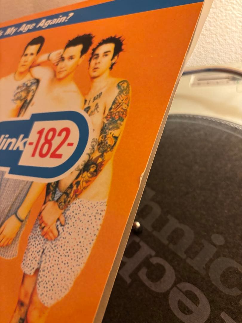 blink-182 / What's My Age Again? レコード美品