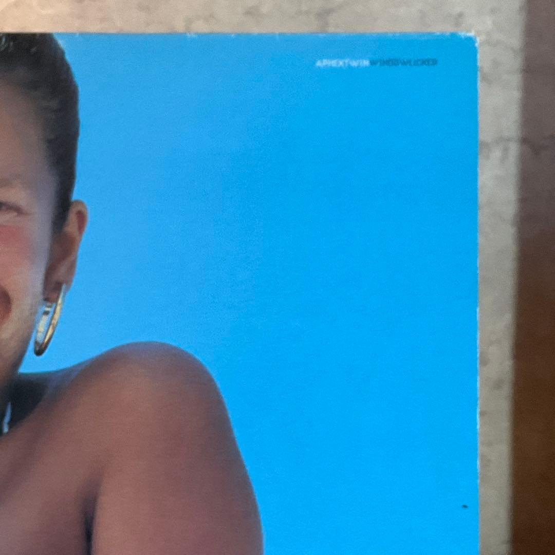 【オリジナル盤】Aphex Twin『Windowlicker』レコード LP