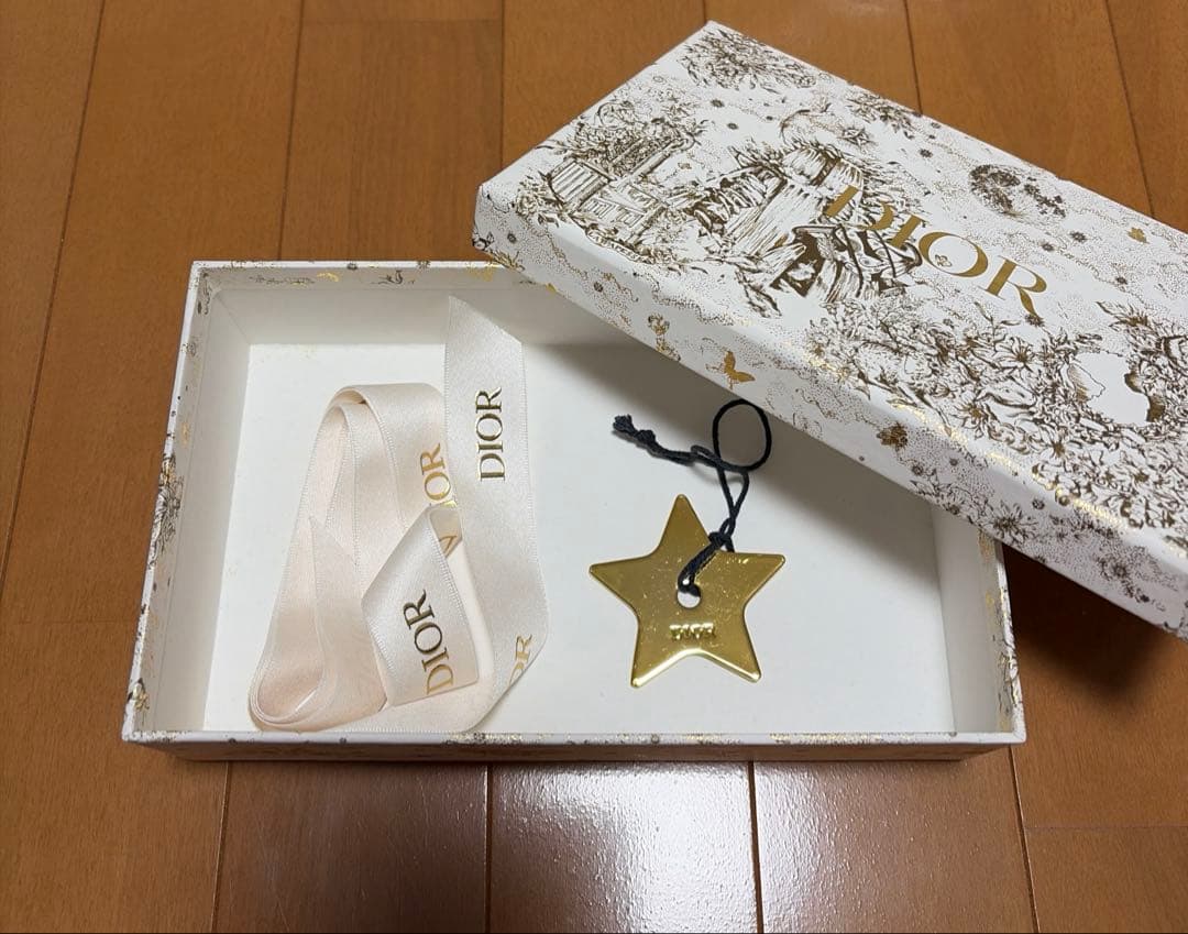 Dior サドル ロータス ベージュ レディース