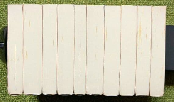 南総里見八犬伝 曲亭馬琴 岩波文庫 全10巻セット 箱入