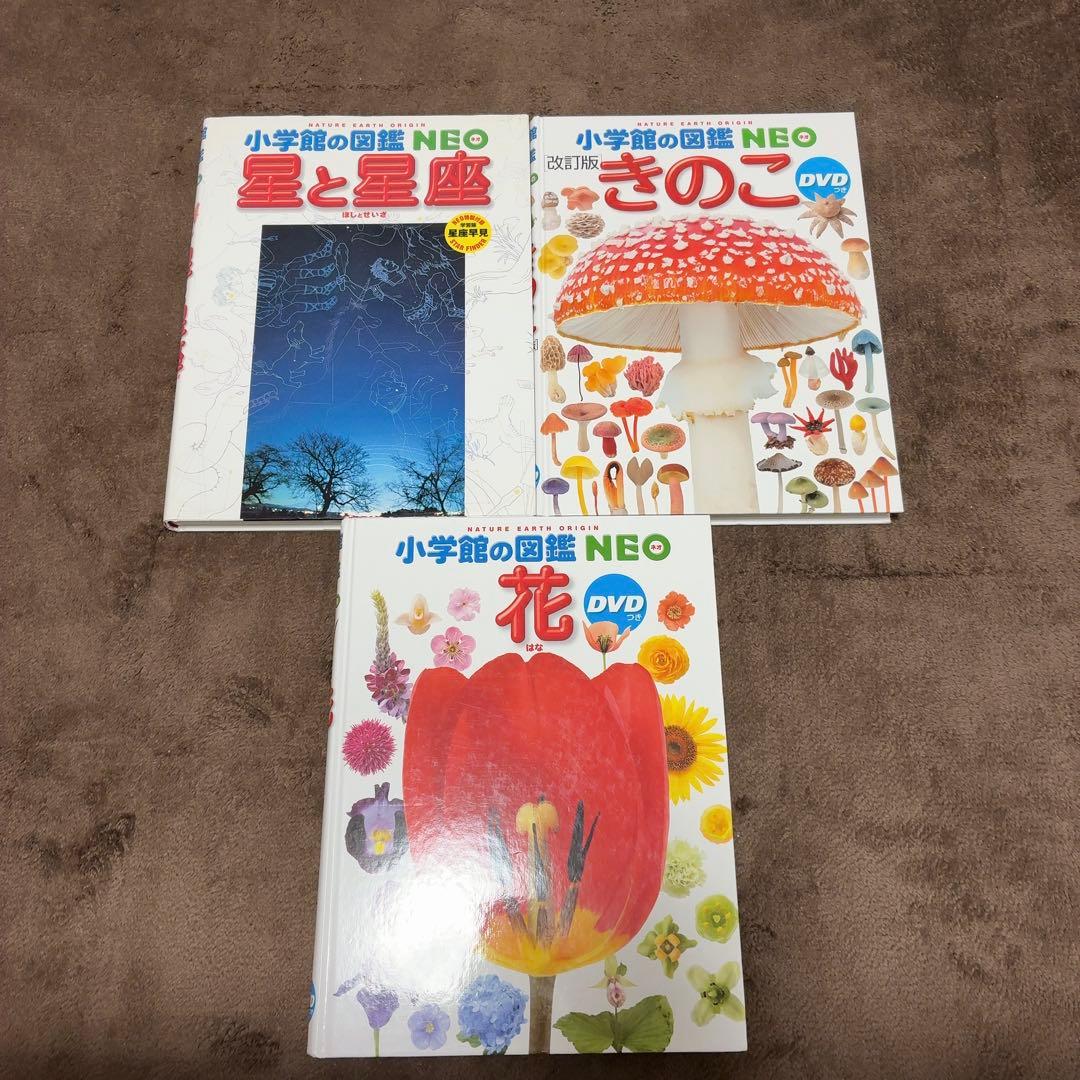 小学館の図鑑neo 11冊セット DVD付き