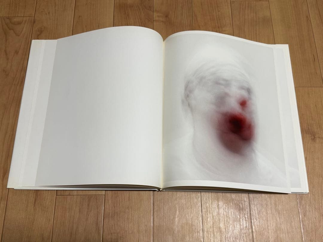 アート・デザイン・音楽 Cabinet of Roni Horn