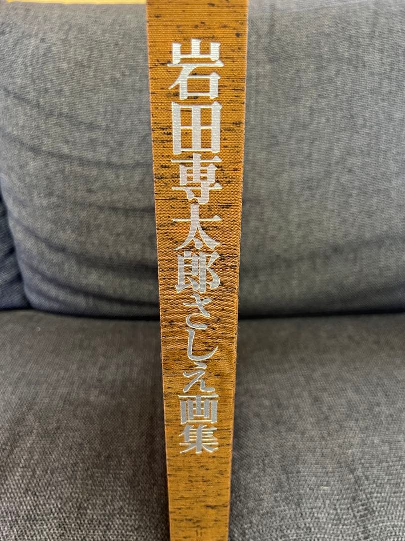 1979年初版】岩田専太郎 さしえ画集 司馬遼太郎 武蔵野次郎 美術本