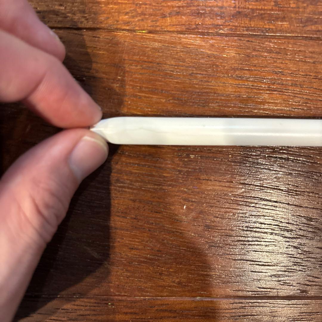 純正　第２世代Apple Pencil ホワイト