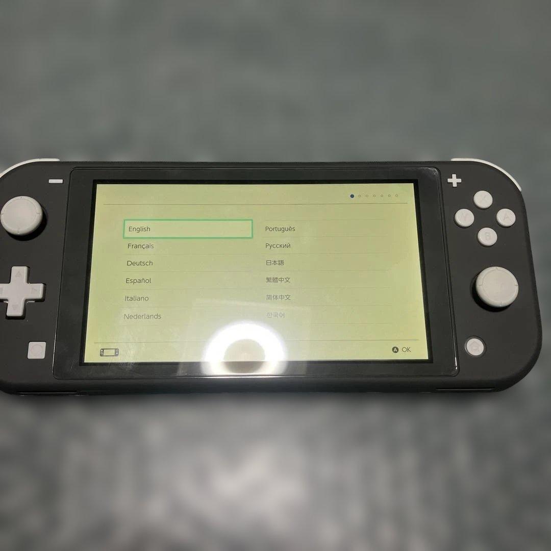 Nintendo Switch Lite グレー 本体 充電器　アソビ大全付き