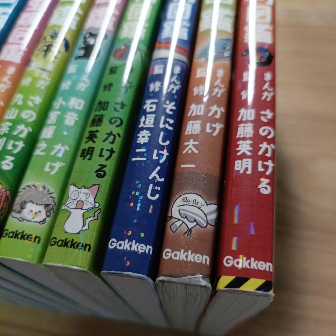 ゆるゆる図鑑 12冊セット