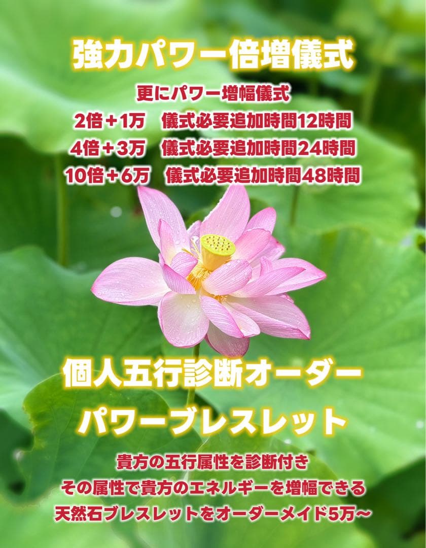 予約取り置き11月1日【超レア】ブラックルチル