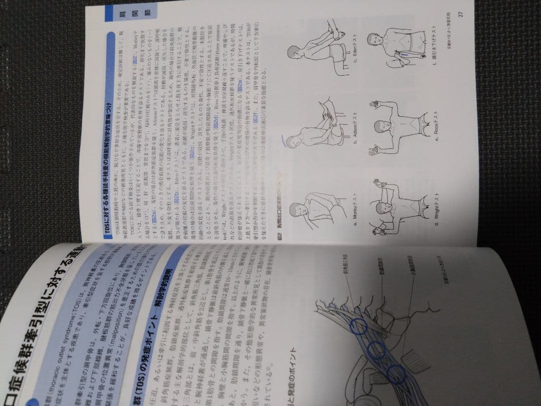 触診技術　整形外科運動療法ナビゲーション 上肢　理学療法士　作業療法士　国家試験