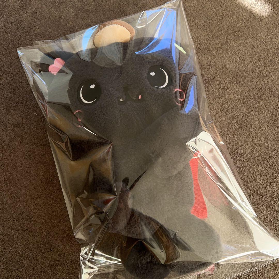 NCT WISH ソウルコン リク ぬいぐるみ キャラクターバッグ　トレカ付き