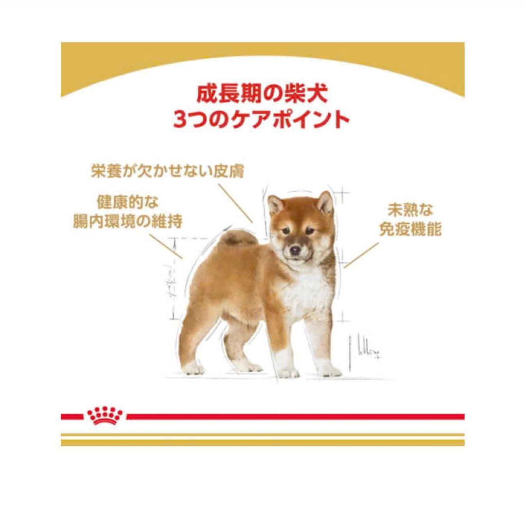 ロイヤルカナン　柴犬子犬3kg✖️2袋　 新品未開封