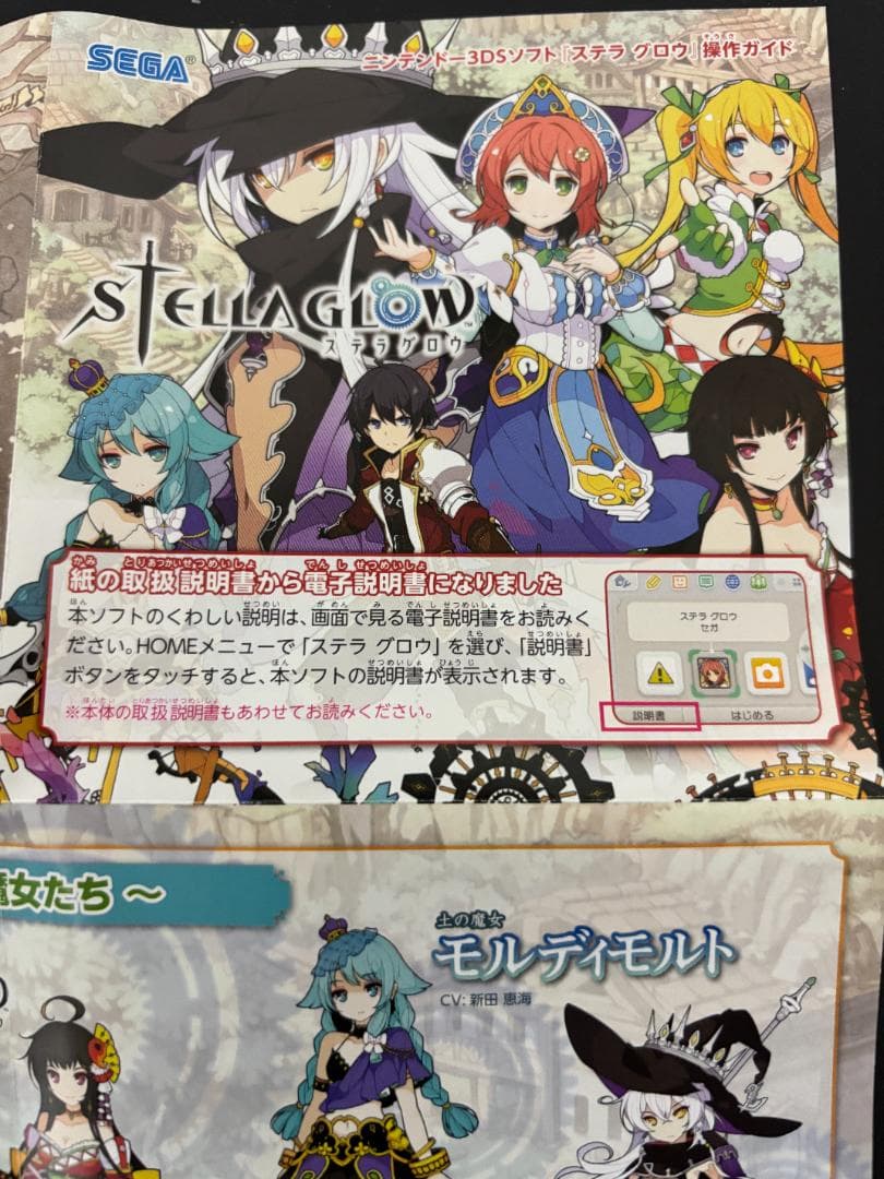 Nintendo 3DS ソフト ステラグロウ STELLAGLOW　ケース付き