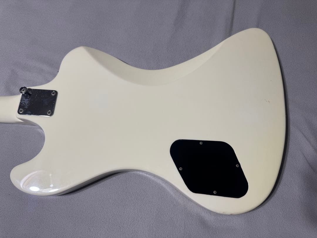 EDWARDS トシヤシグネーチャーモデル　E-T-100TR