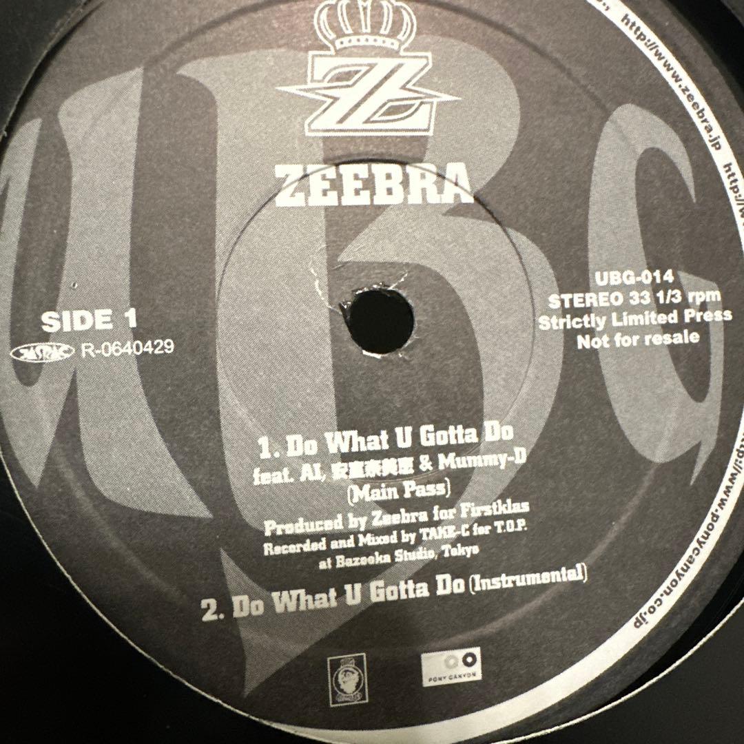 ZEEBRA DO WHAT U GOTTA DO レコード Ai 安室奈美恵