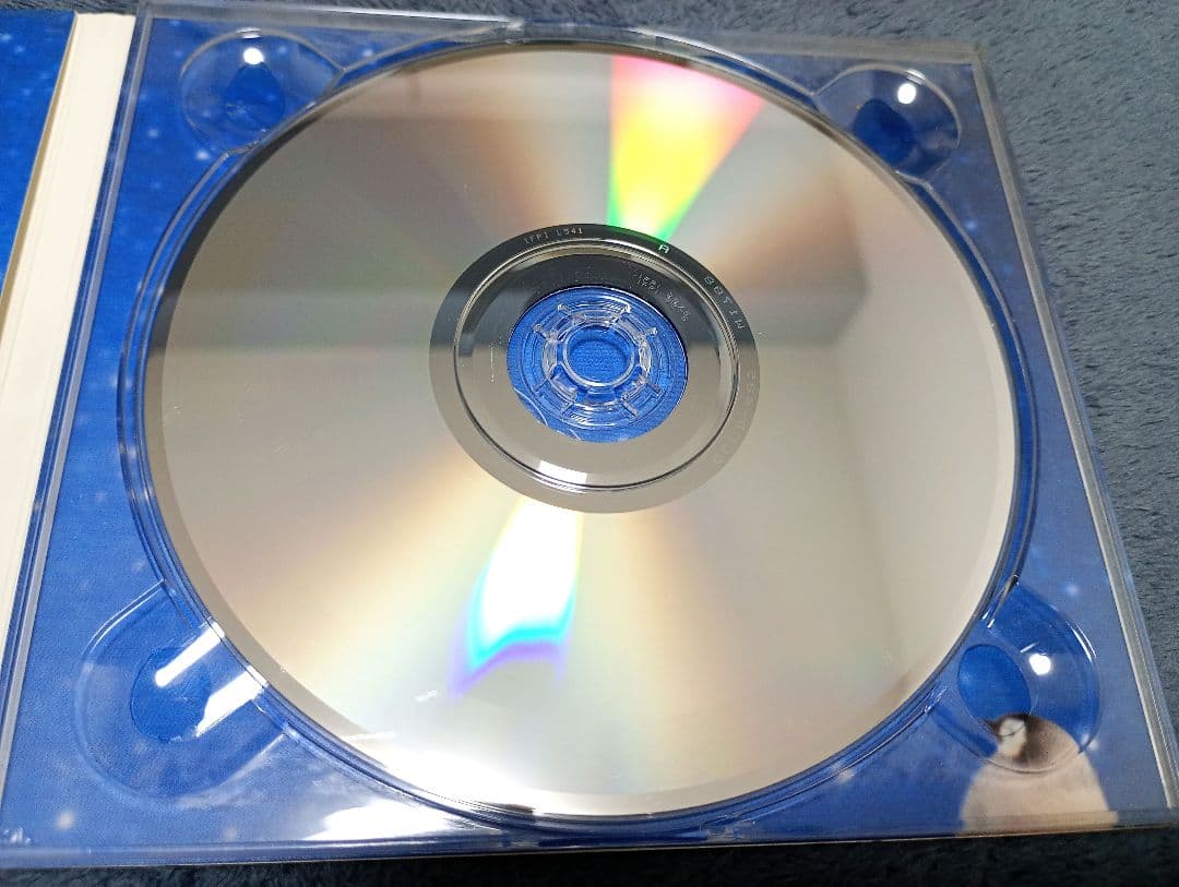 【入手困難】800 cherries『piccolo』CD Pervenche