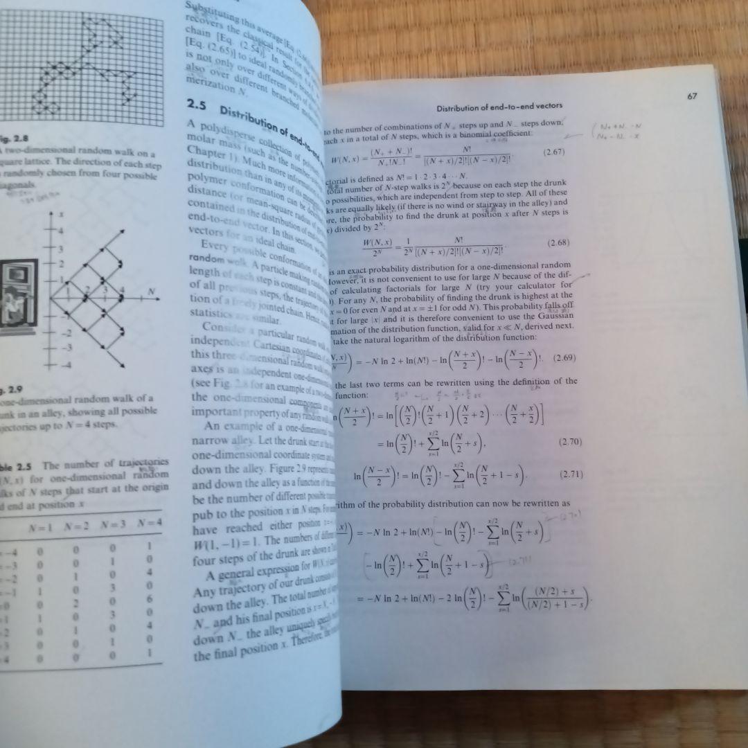 高分子物理学　洋書　Polymer Physics　OXFORD