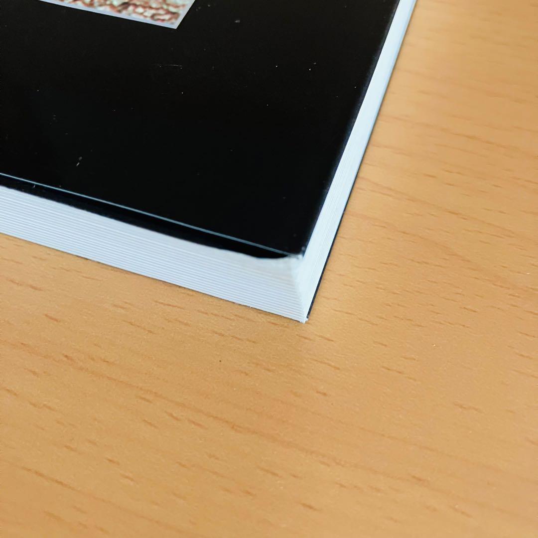 胃拡大内視鏡