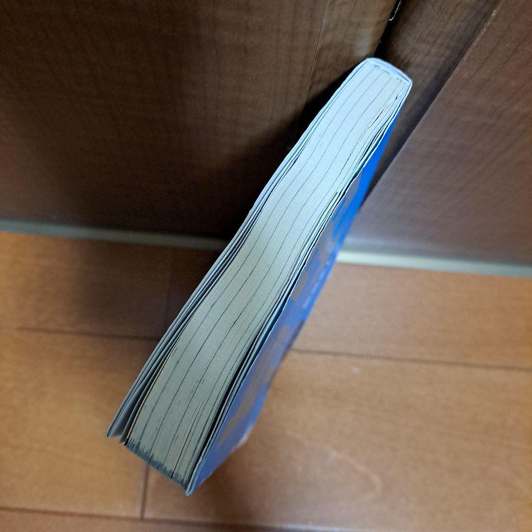 甲本ヒロト論 : 自分らしく生きる!
