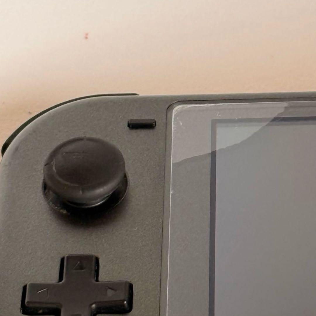 Nintendo Switch Lite ディアルガ・パルキア 充電器