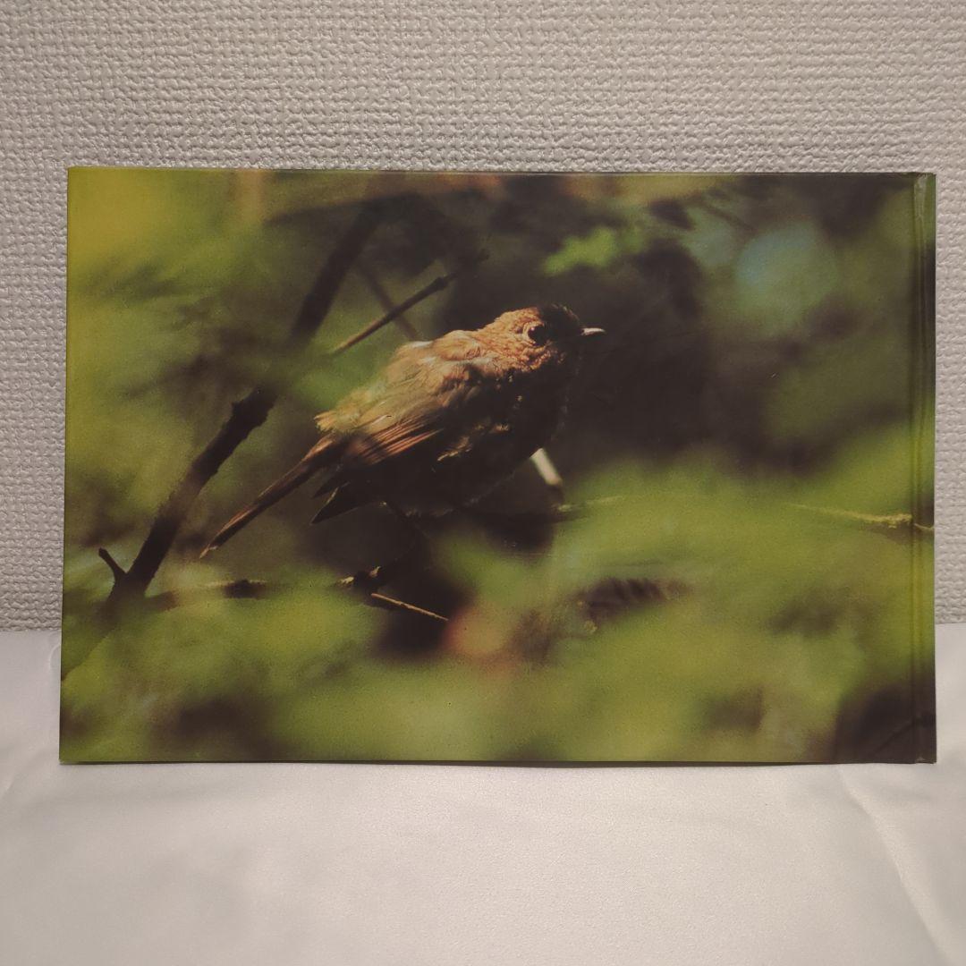 希少 Richard Billingham 写真集 Ikon Gallery