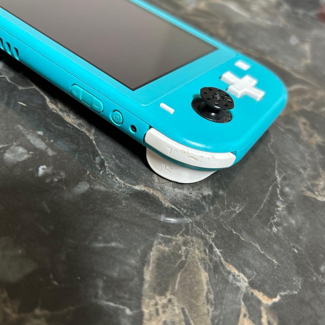 Switch rite本体