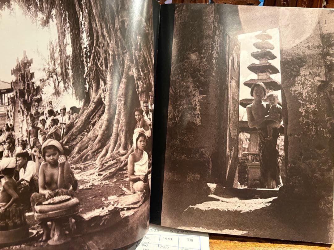 Bali in the 1930s 写真集