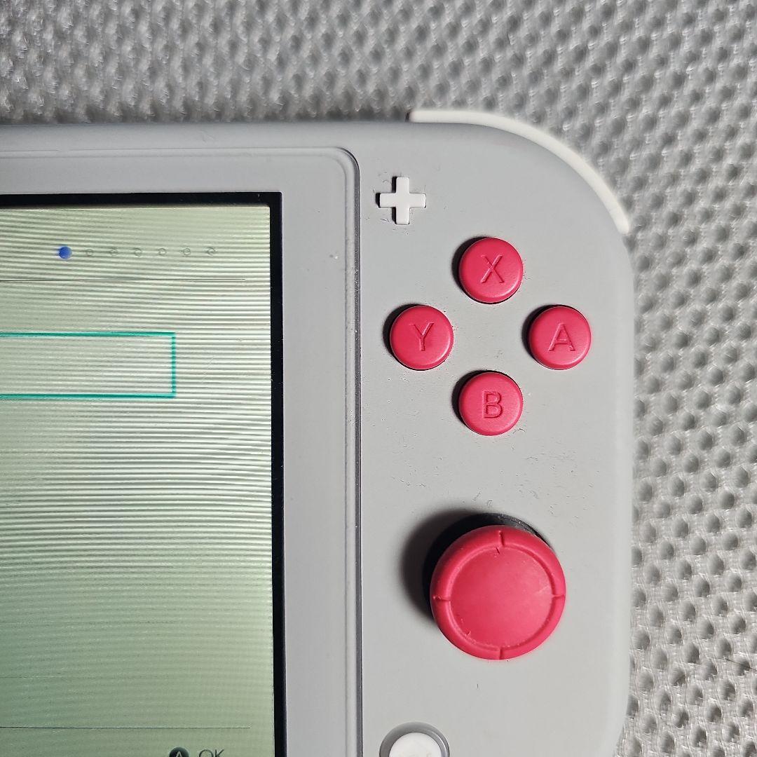 Nintendo Switch Lite ザシアン・ザマゼンタ 本体