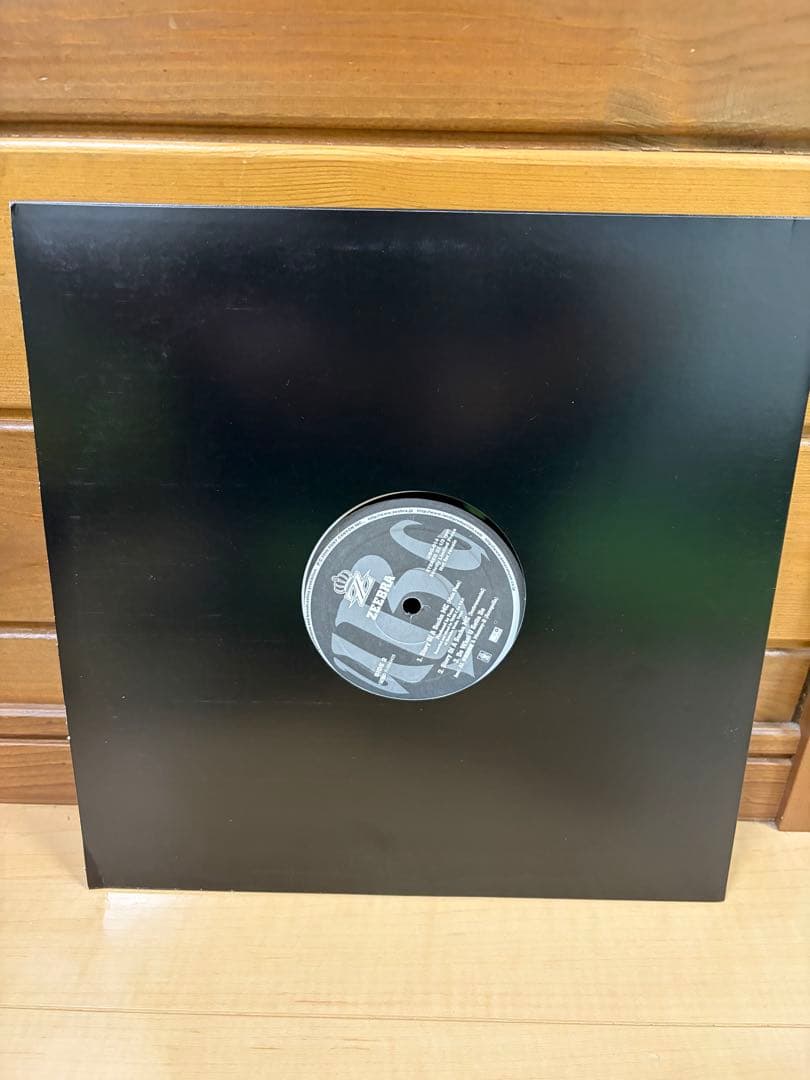 ZEEBRA 安室奈美恵　Do What U Gotta Do レコード