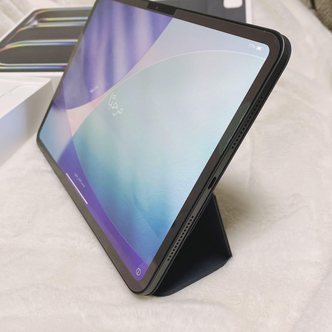 Apple 11インチ iPad pro （M4） Wi-Fiモデル ケース付き