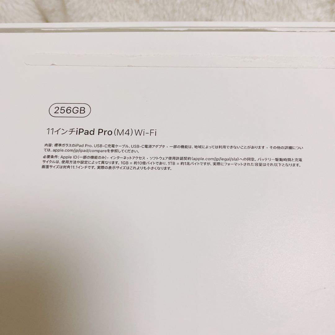 Apple 11インチ iPad pro （M4） Wi-Fiモデル ケース付き