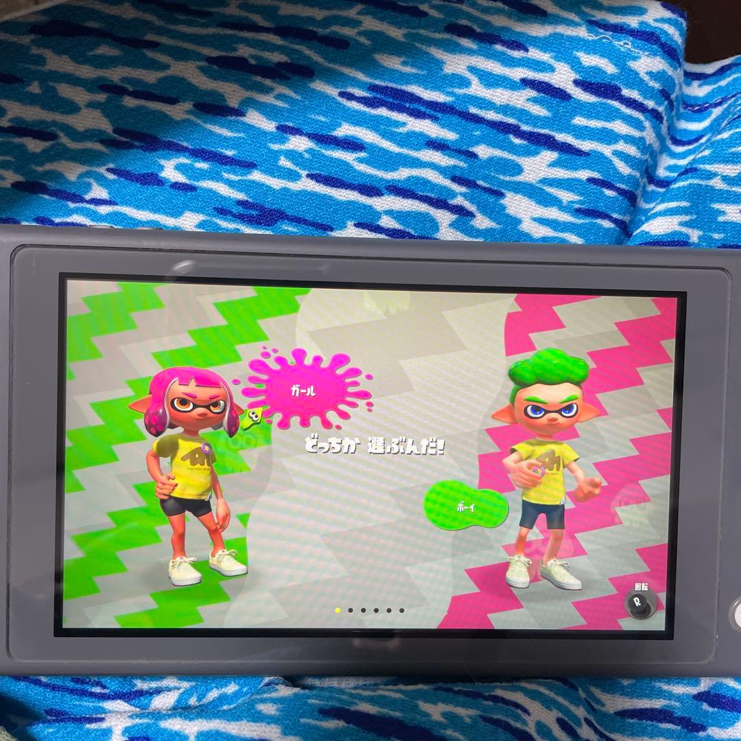 Nintendo Switch Lite グレー 本体　スプラ2ソフト付き
