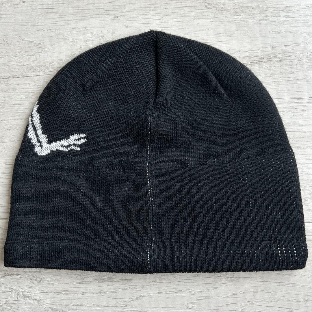 【美品】Arc'teryx Bird Head Toque Orcaビーニー