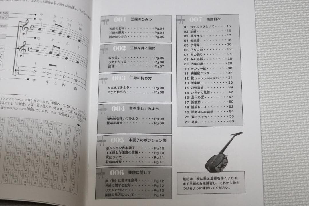 三線 沖縄三線初心者にもやさしいお得なセット、ＤＶＤ、教本、チューナー付属品付
