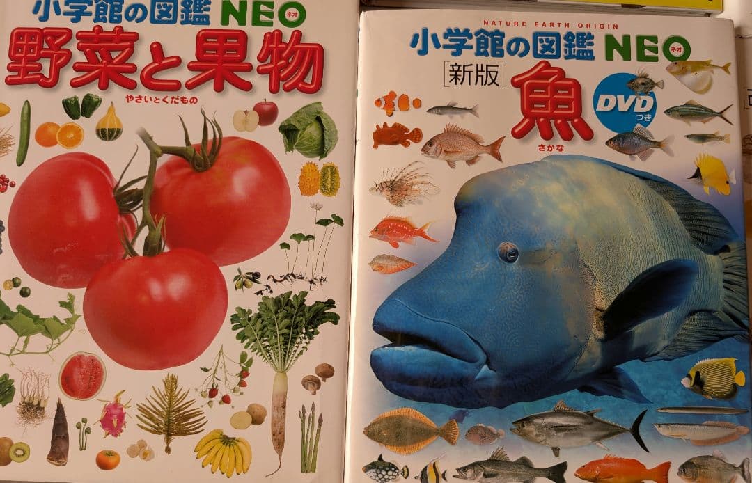 図鑑 12巻セット