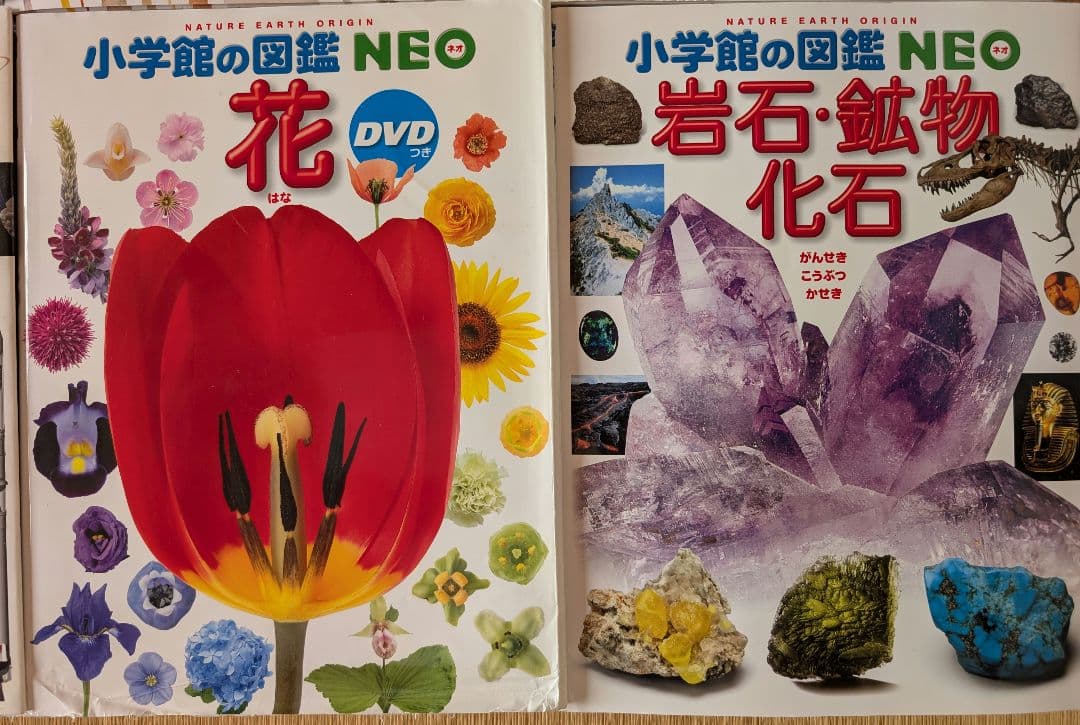 図鑑 12巻セット