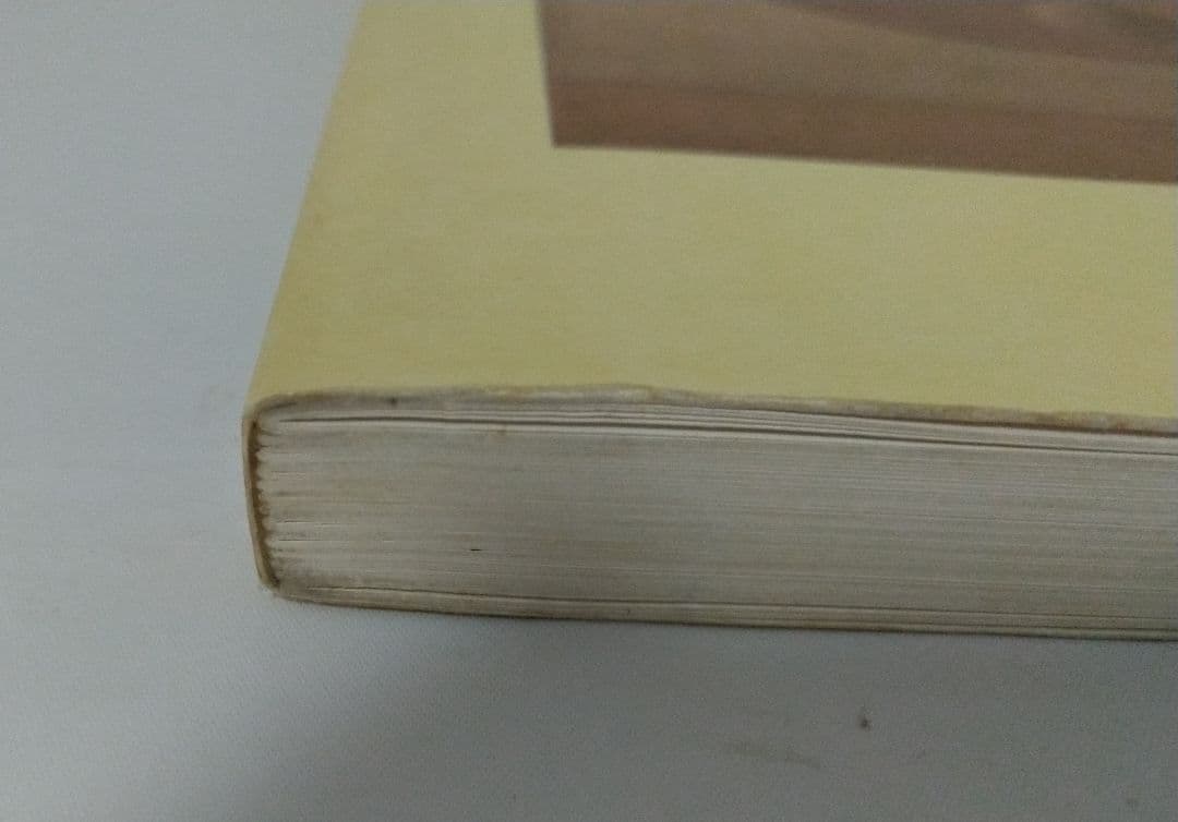 モランディ MORANDI 洋書 図録