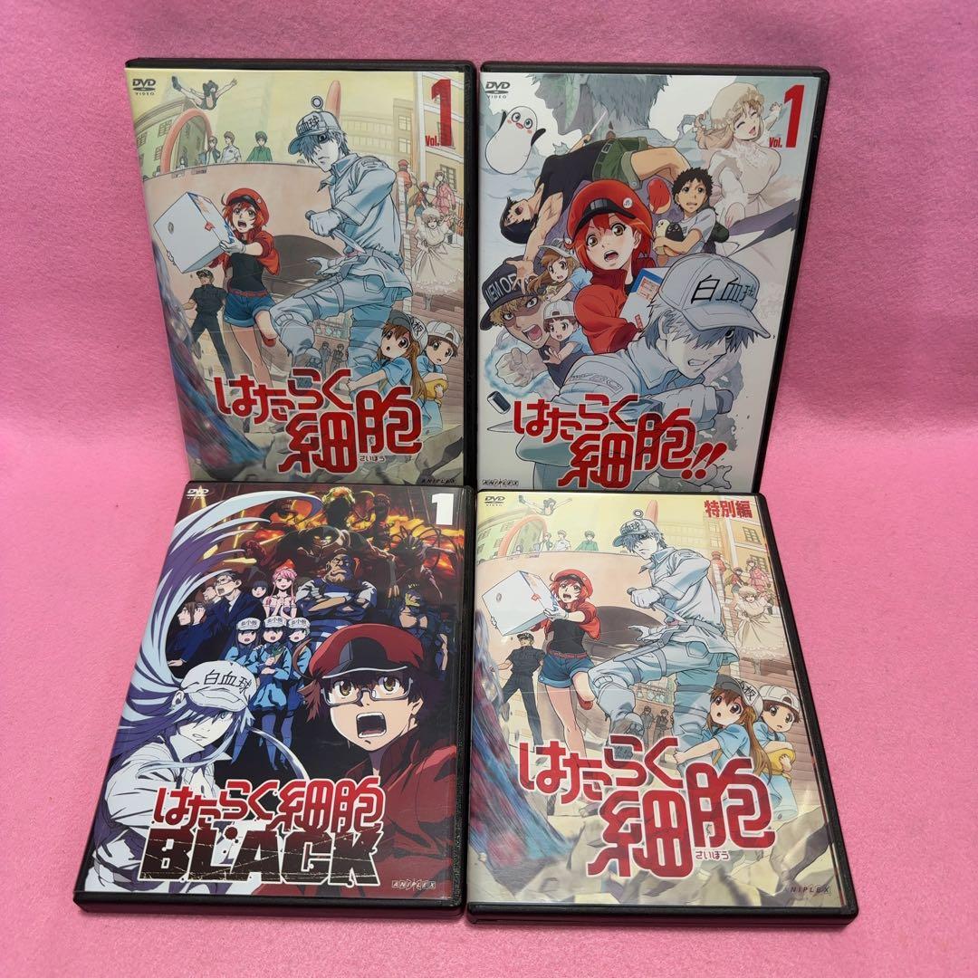 新品ケース有 はたらく細胞 19巻セット
