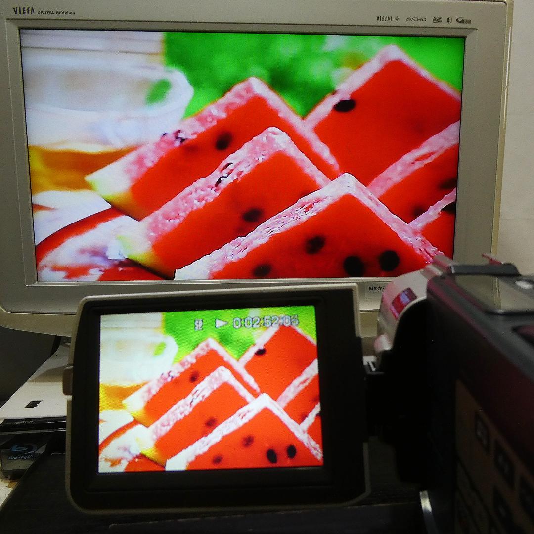 動作品ソニー DCR-TRV17 MiniDVビデオカメラ　DVDダビングに最適