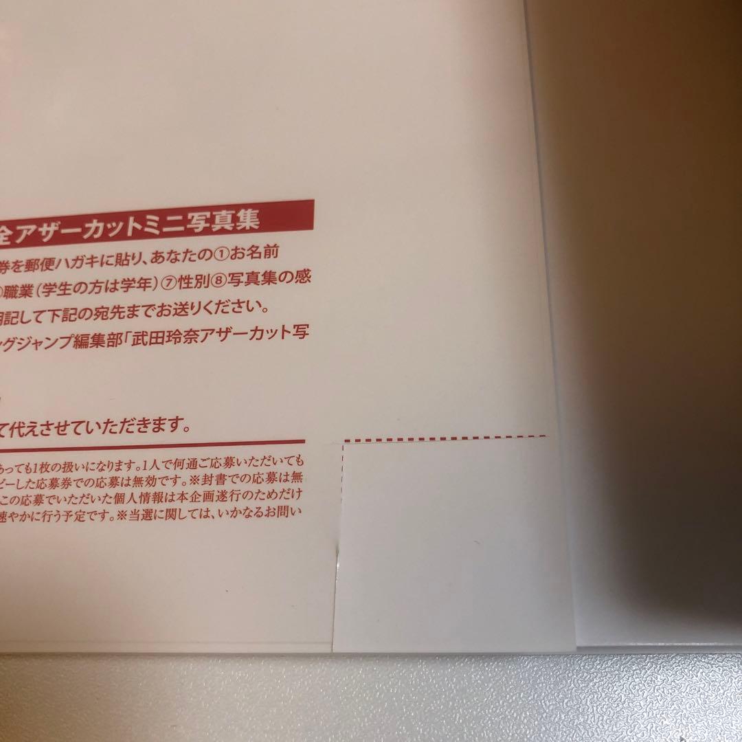 rena 武田玲奈2nd写真集 ＆ アナザー写真集　未使用に近い