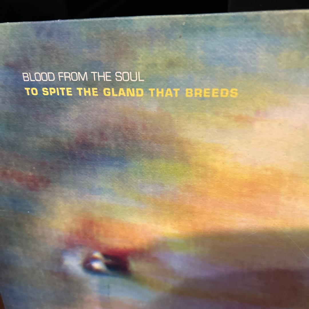洋楽 BLOOD FROM THE SOUL napalm death earache